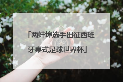 两蚌埠选手出征西班牙桌式足球世界杯